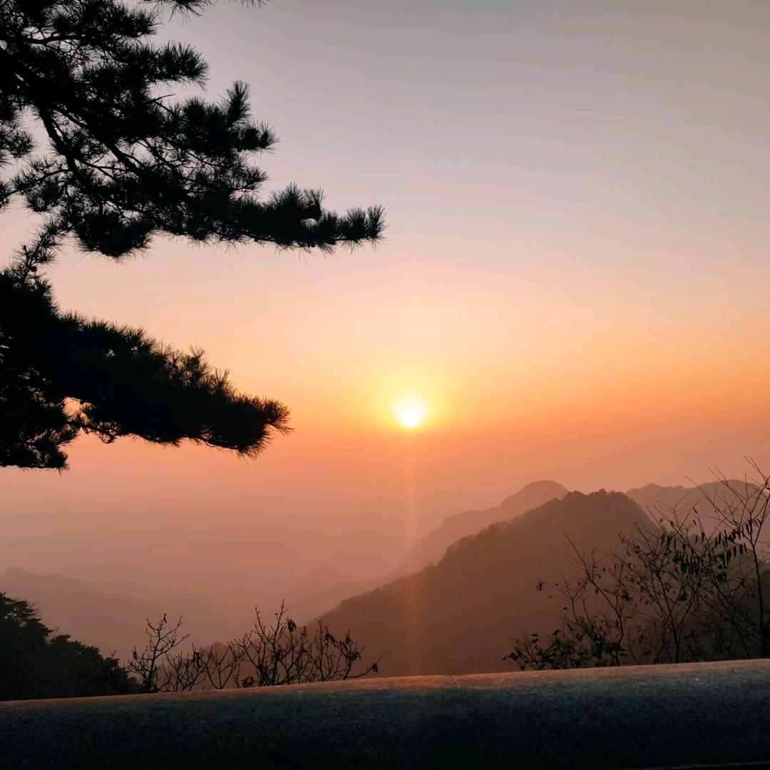 许哥
