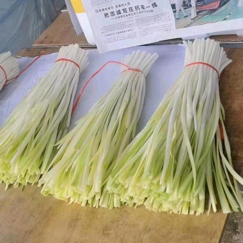 银生农业
