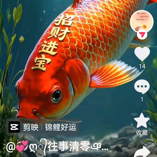 陈德松