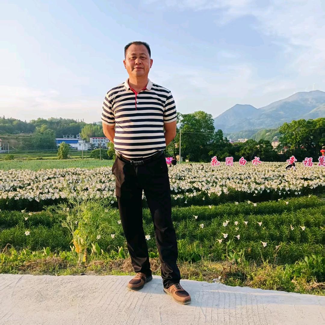 绿色山枣