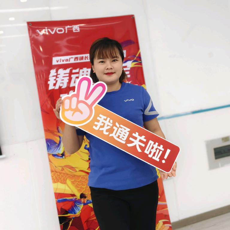 vivo业务+燕子
