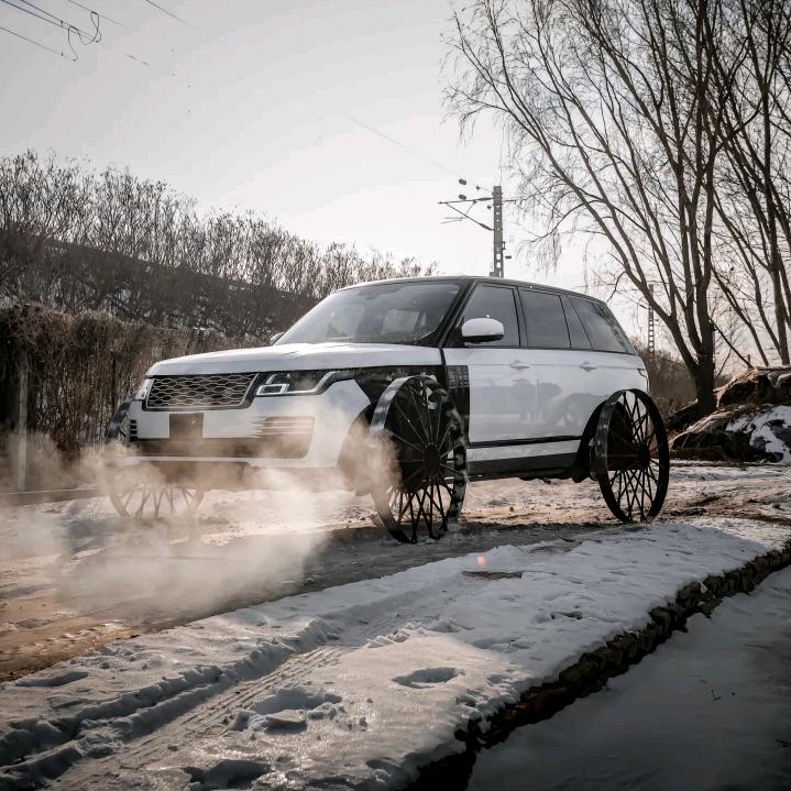 -.锦上添花、•^
