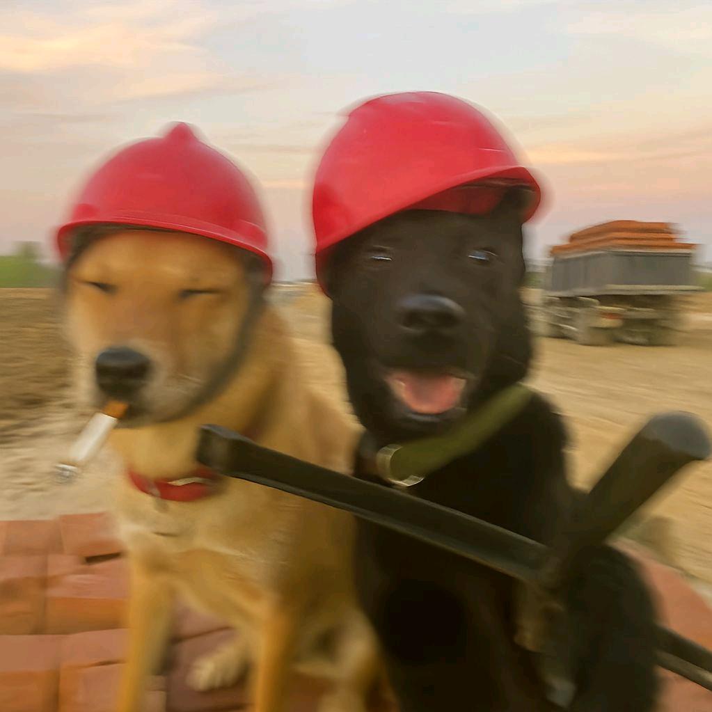 工头！我投敌了，他说带我去ktv叫俩妞