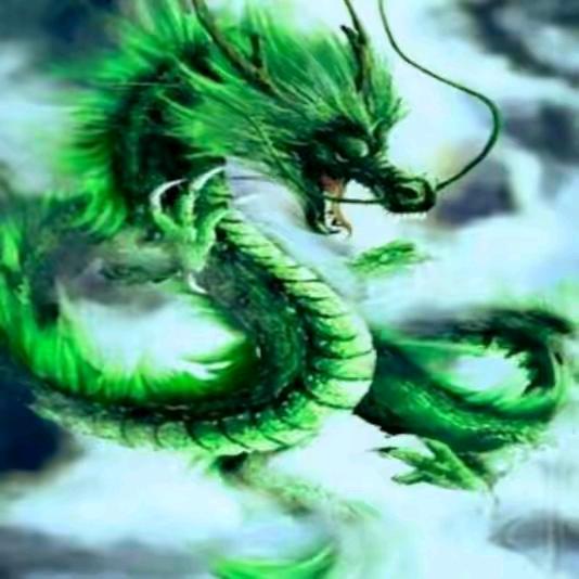 东北龙🐉（手机摄影剪辑）