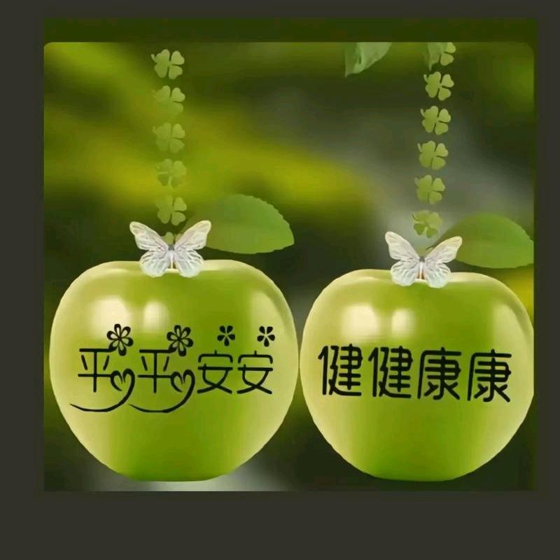 思君朝暮