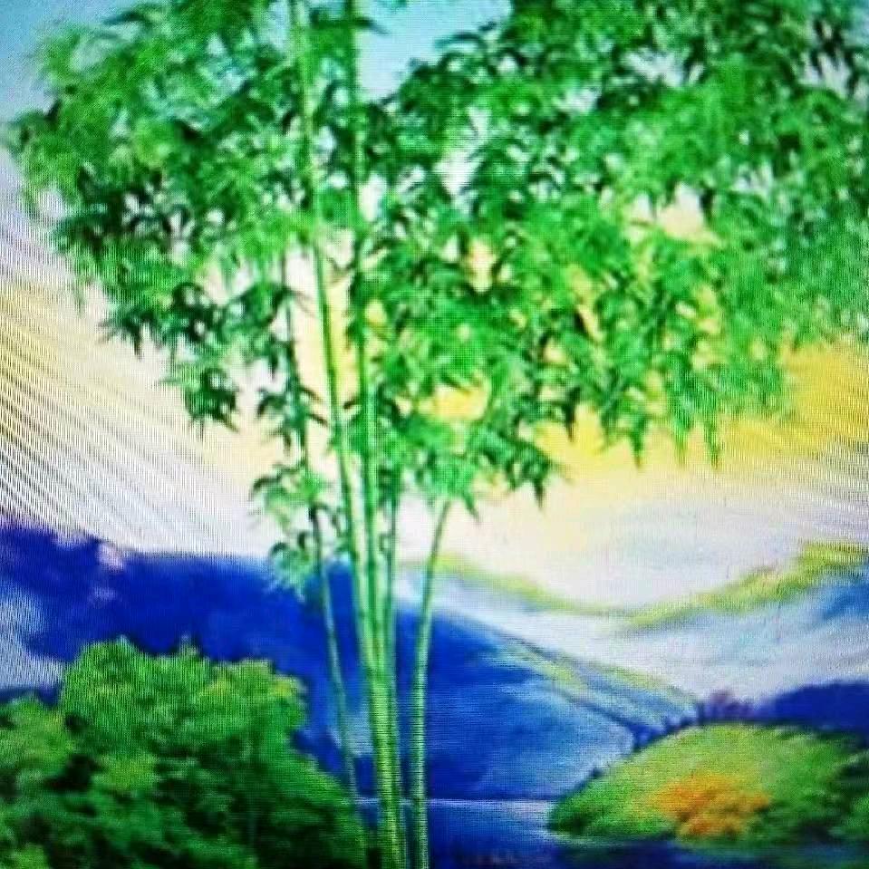 夏来出凉