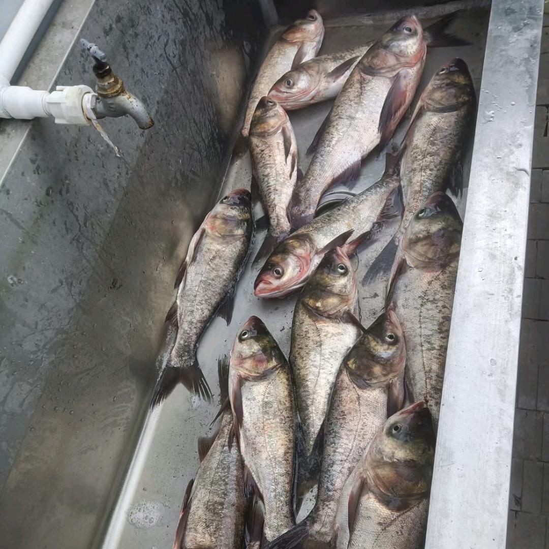 ࿐ཉི༗࿆Lady wrote༗