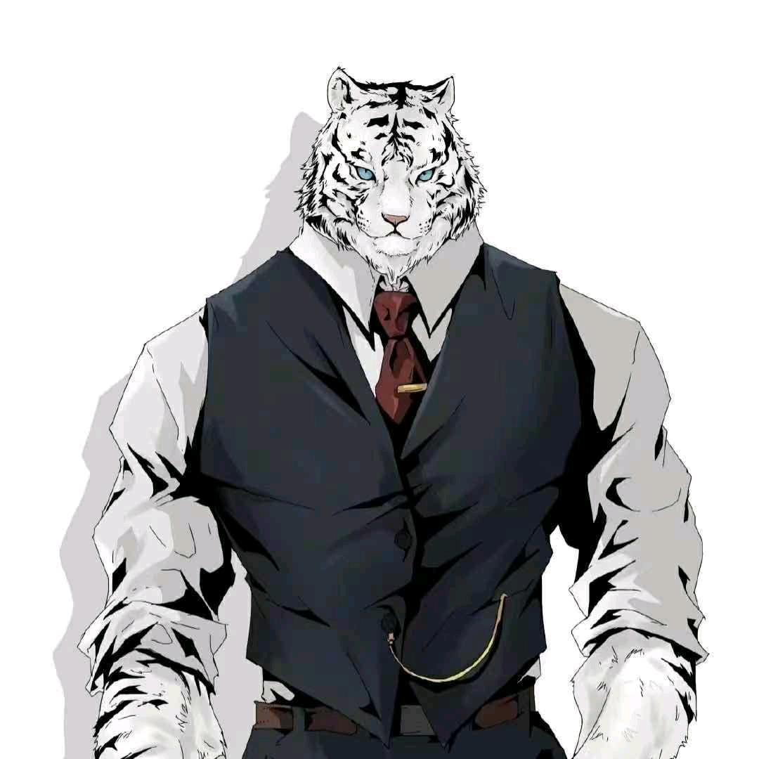 安文先生