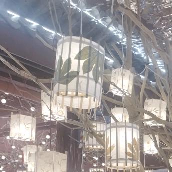 小贺带你看好房(锦城）