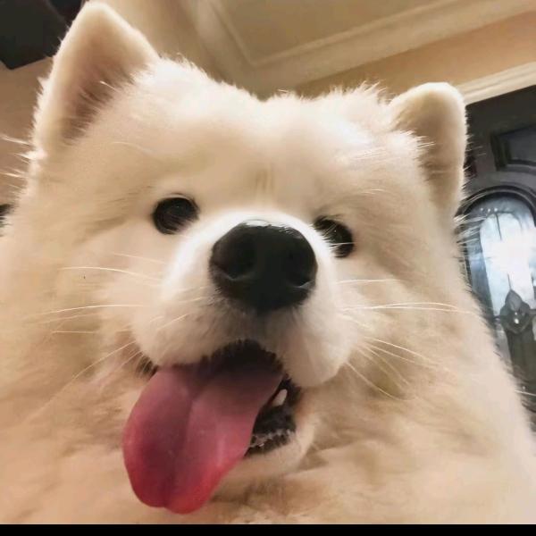 KAN盐选