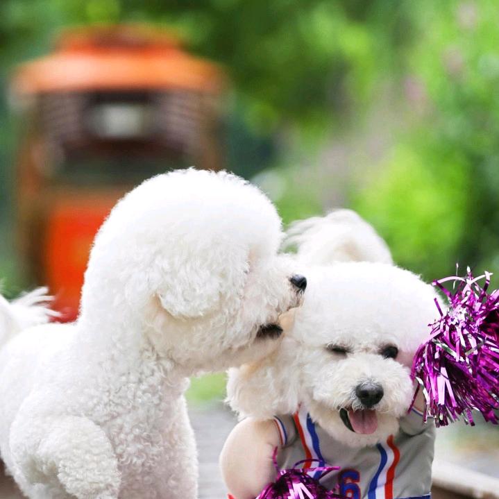 💞💞小蓝(自学曳舞)拒绝私聊