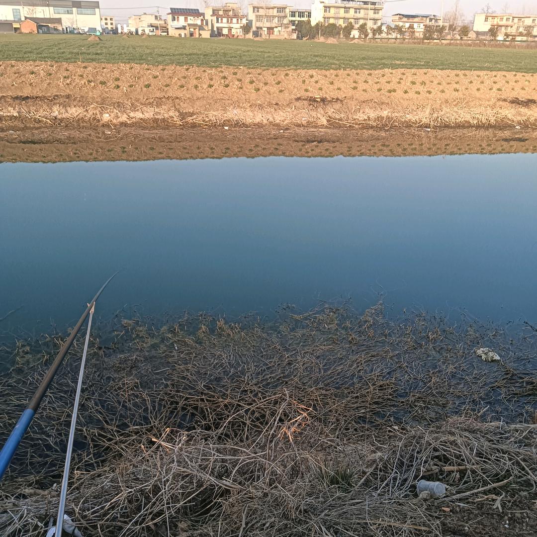 走自己的路让别人说去吧