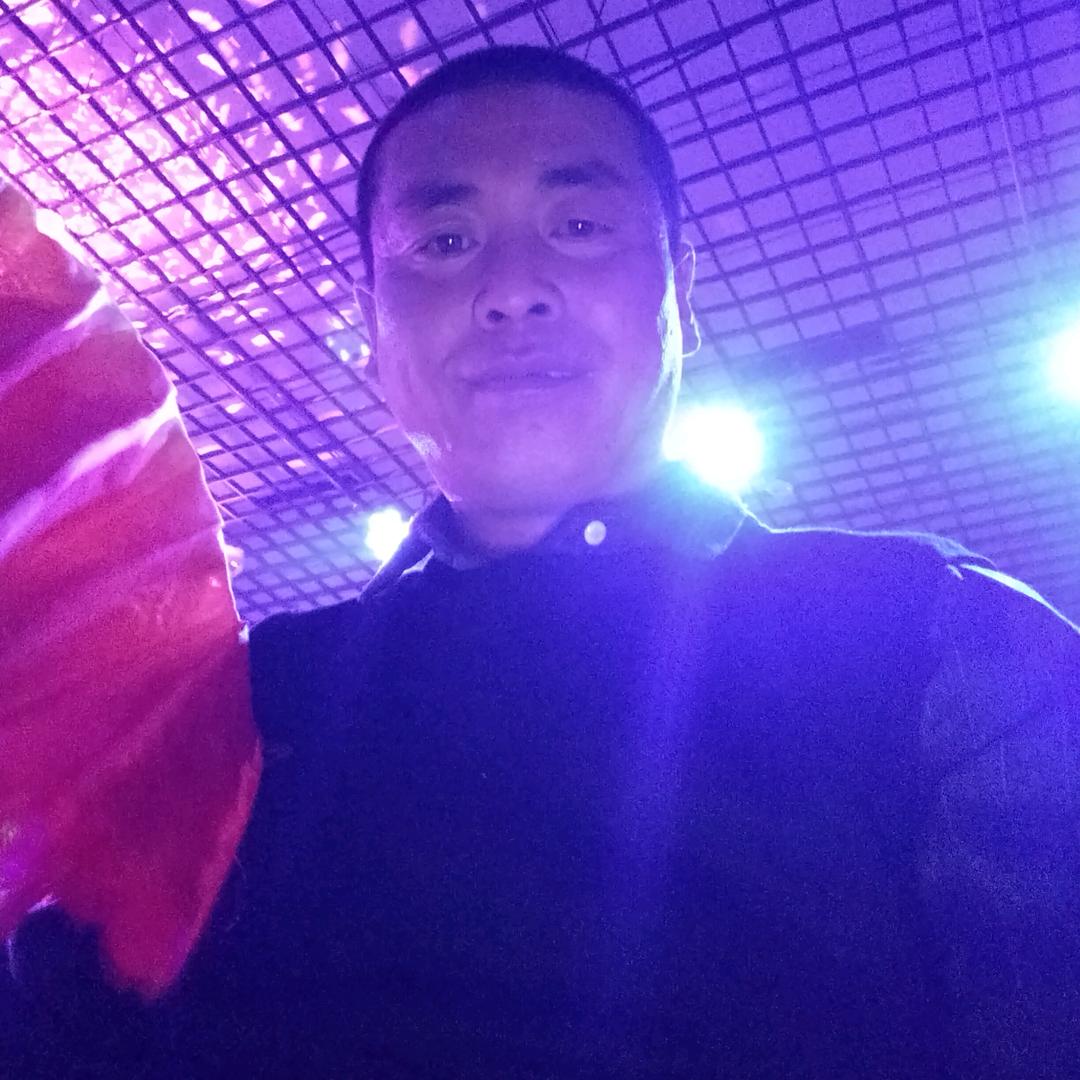 用户，骑驴看账本