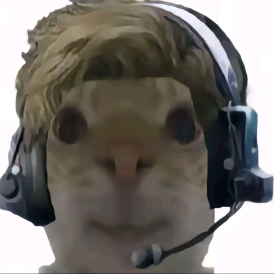 季度（三角洲行动）