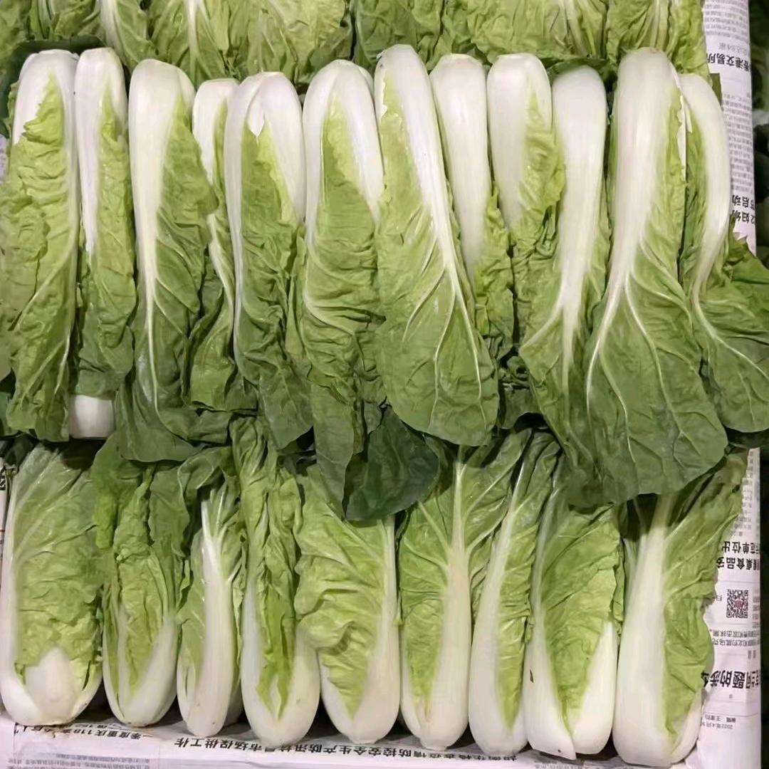 遗忘的岁月