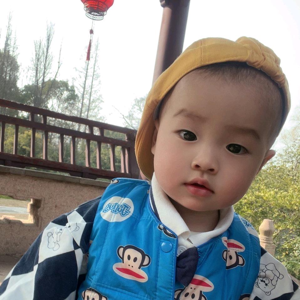 琴