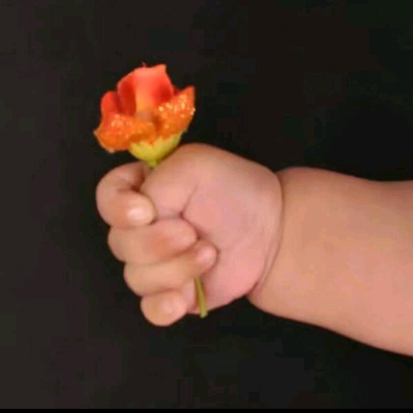 心梦😡月亮之上