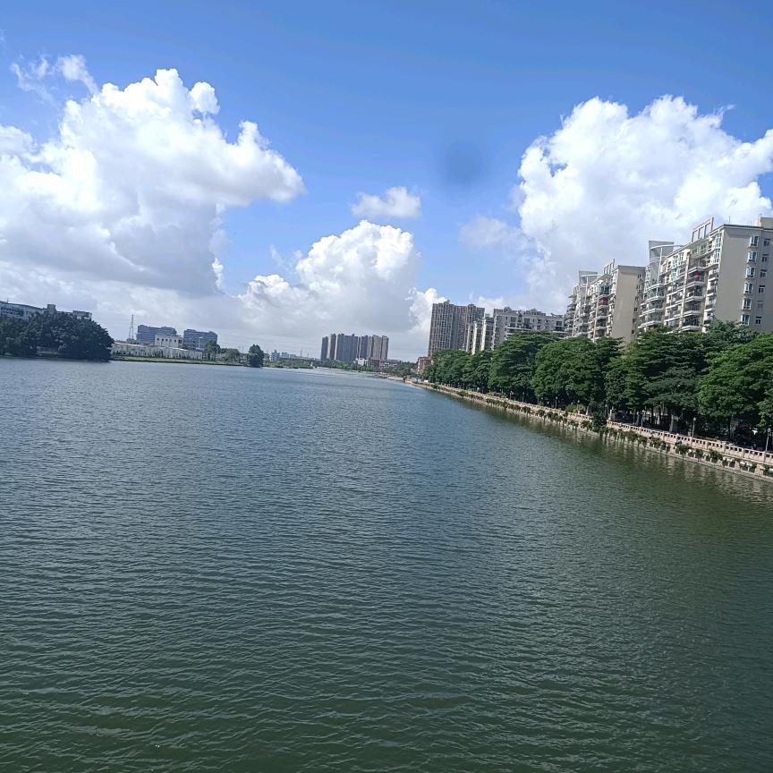 揣着明白装糊涂