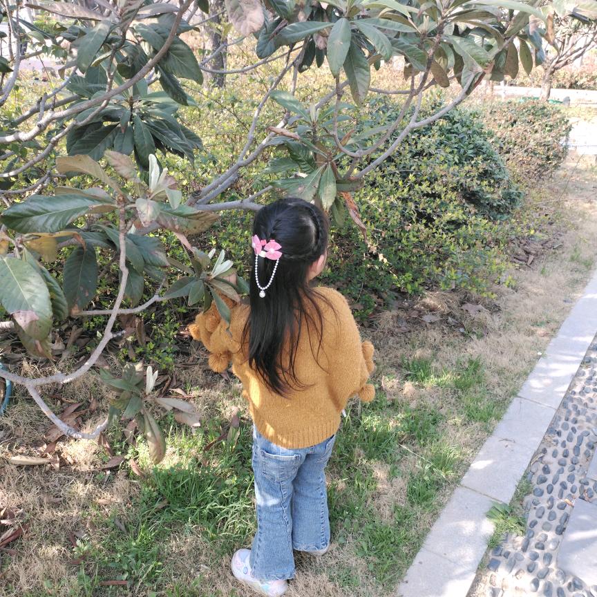 米朵🍀