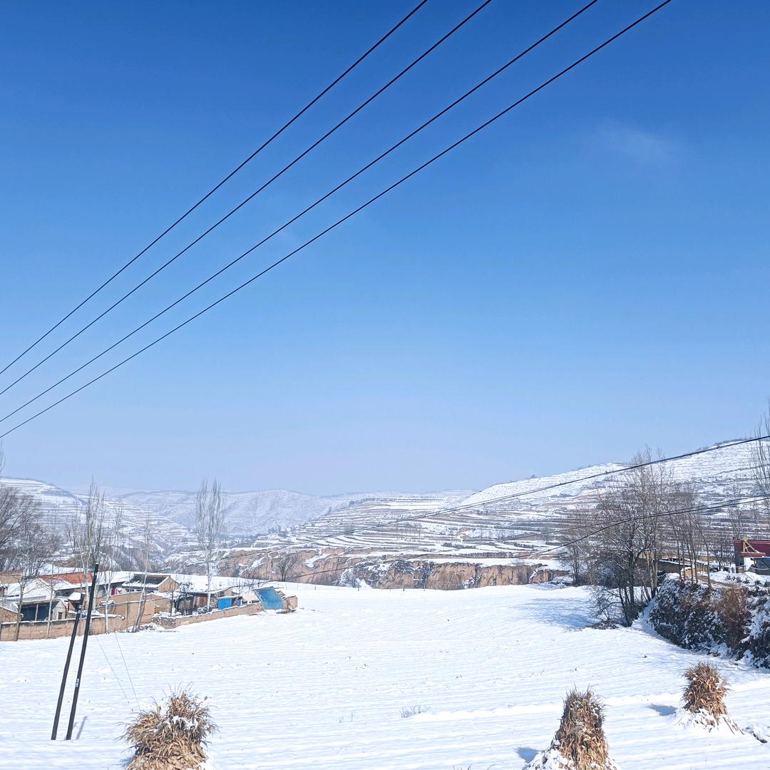 洋芋吃不腻的胖子