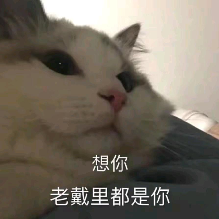 西瓜摔烂了