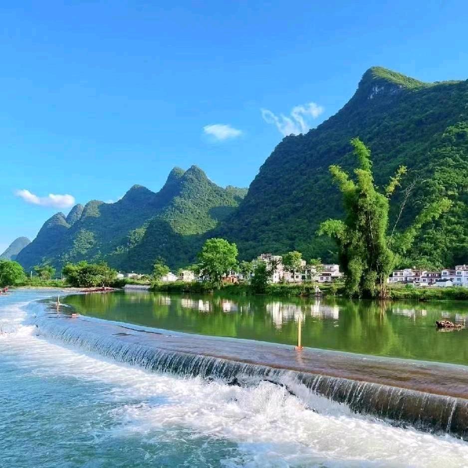 叼着奶嘴逛酒吧🦅