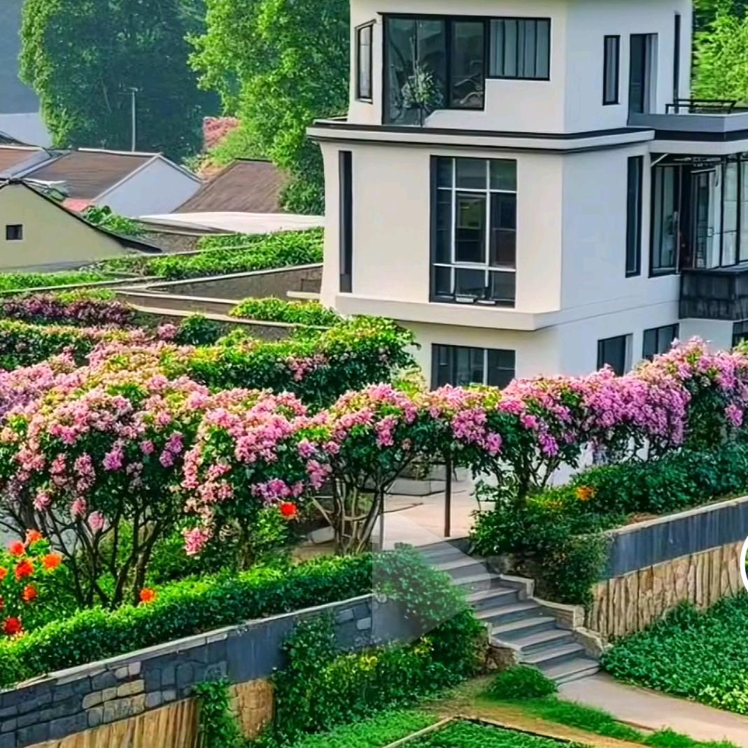 小菜童学