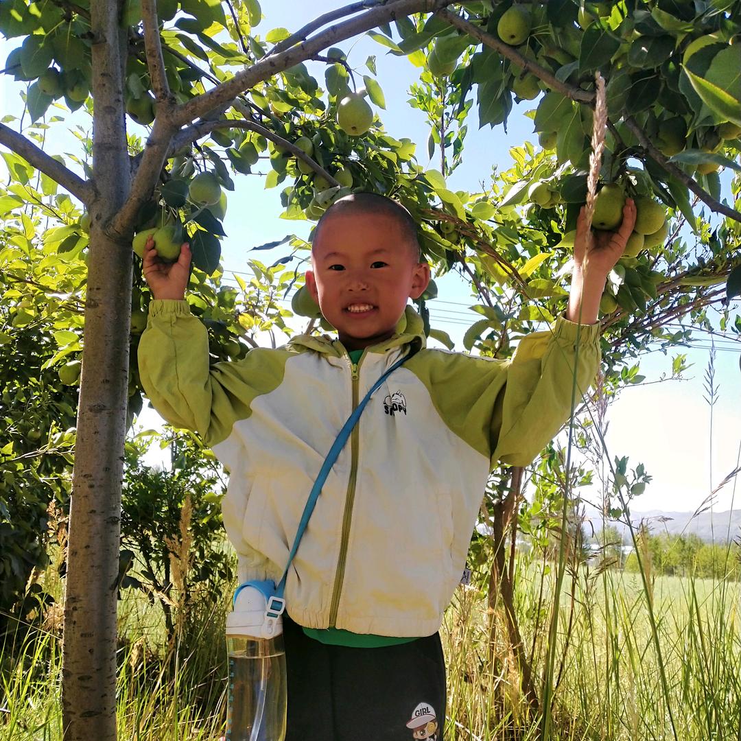 张永寿