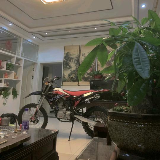 小杨