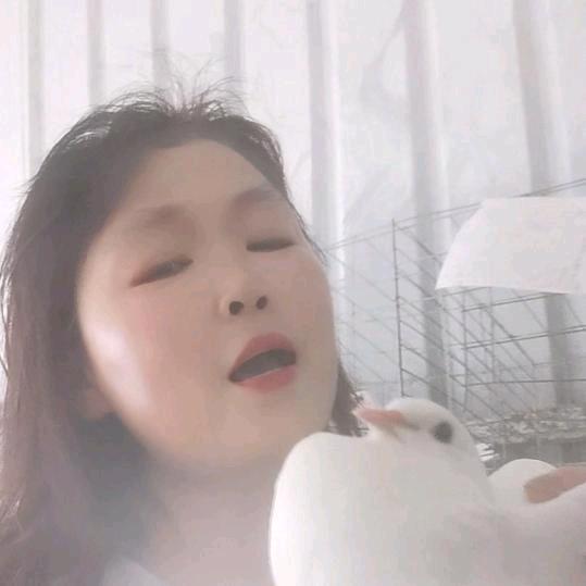 旬阳鸽子姐