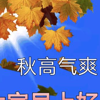 秋高气爽