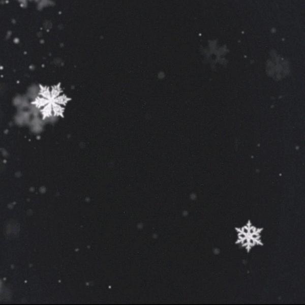 小趴菜🉑🈶🉑🈚