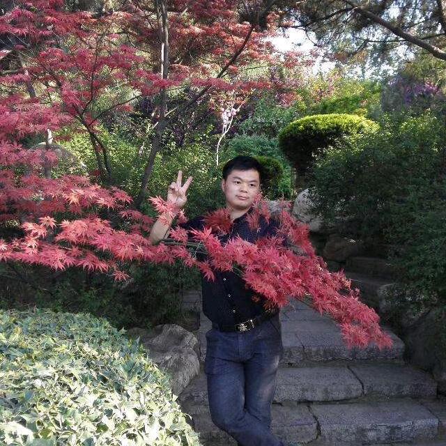 迷失方向的狼