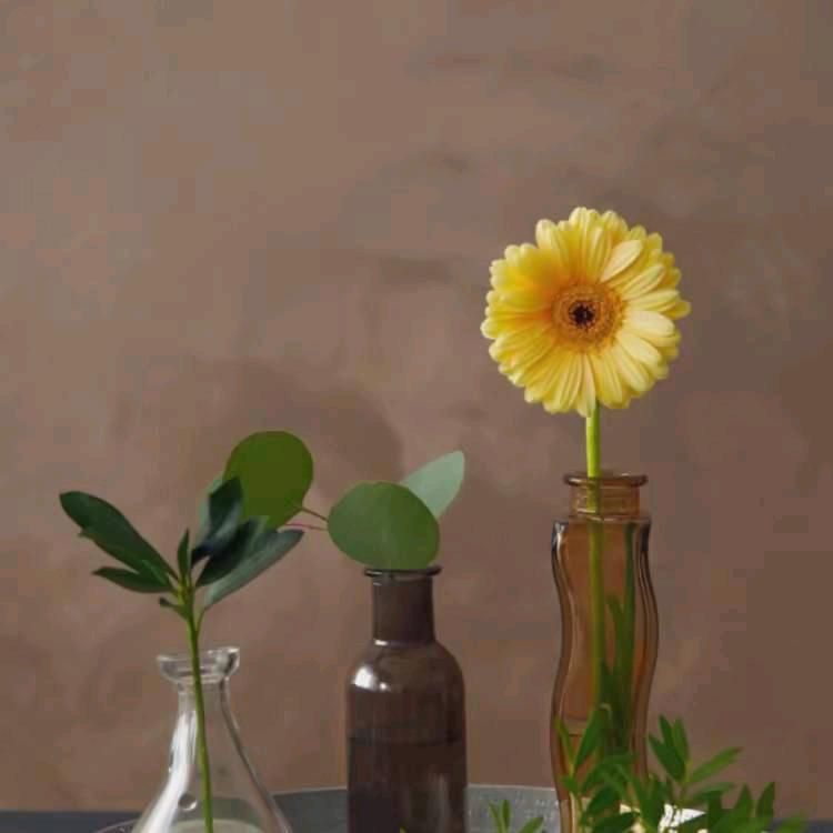 北斗星工厂👑郑倩倩