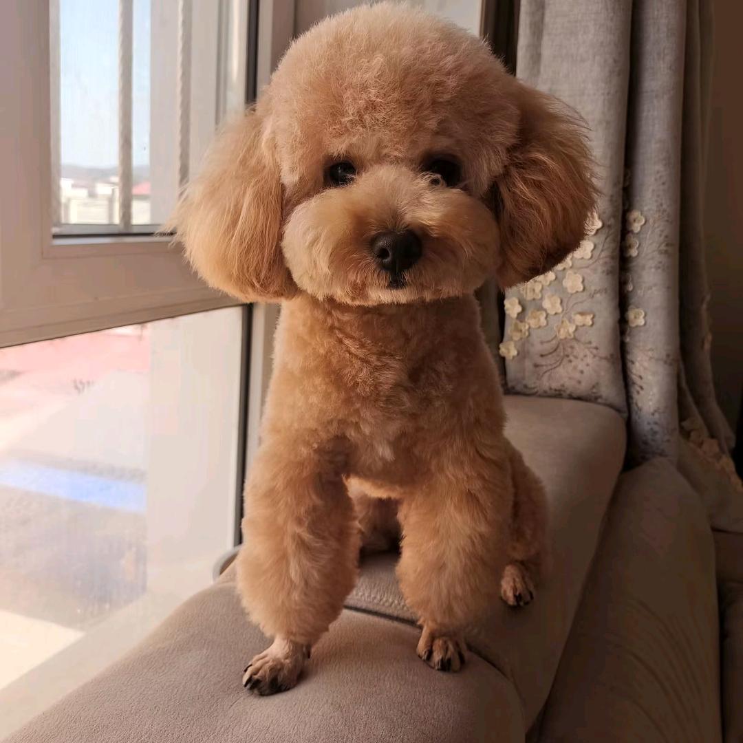 常开心呀❤️