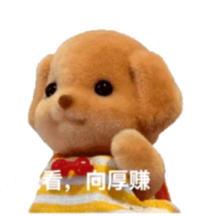 我的插叙人生
