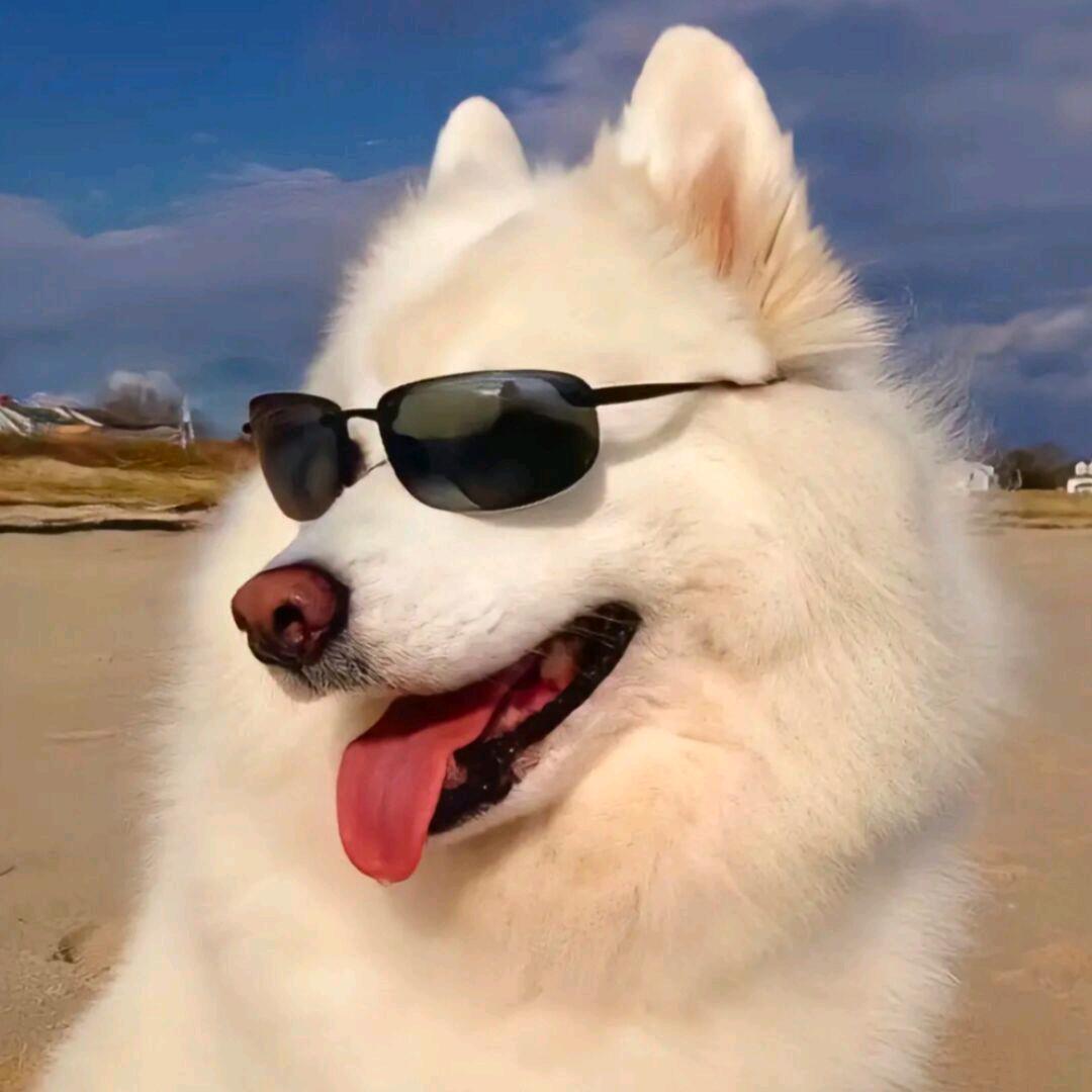 D,