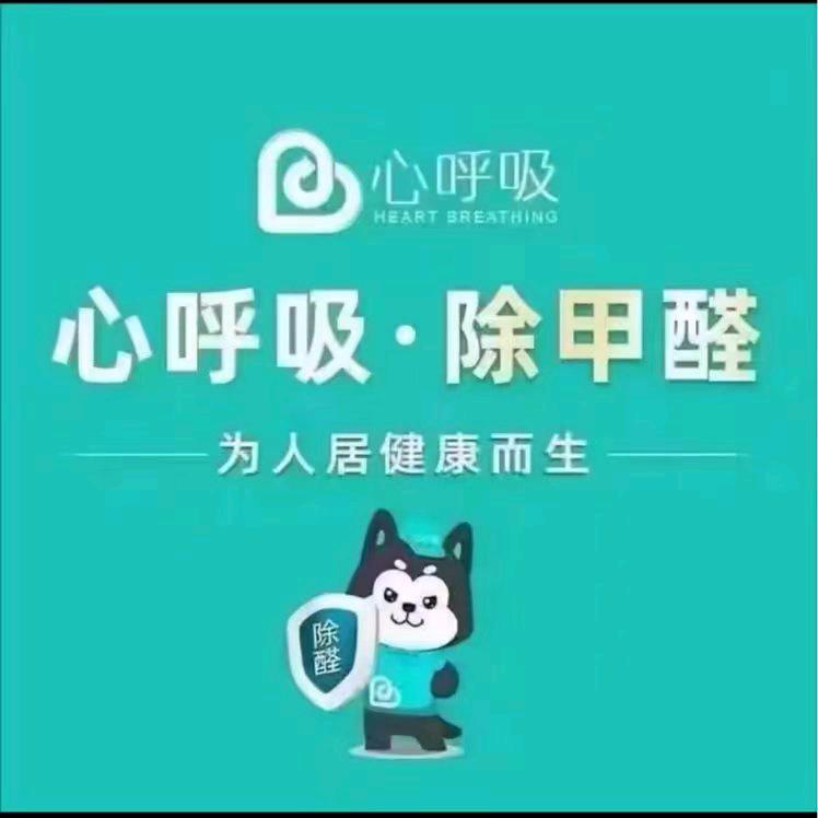 专业甲醛治理检测,空气净化