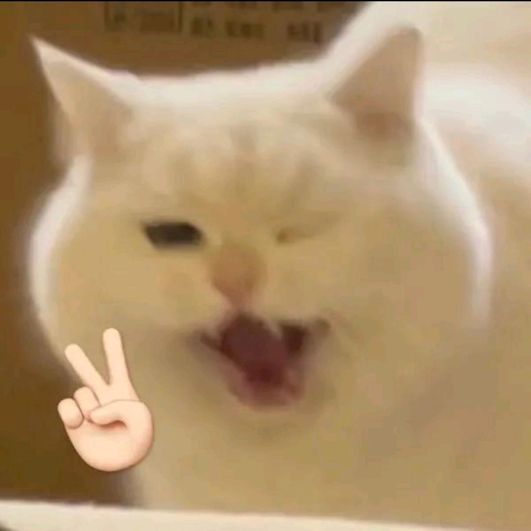 ୧⍤⃝   老可爱了🌈