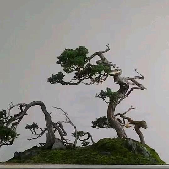 岁月静好.....