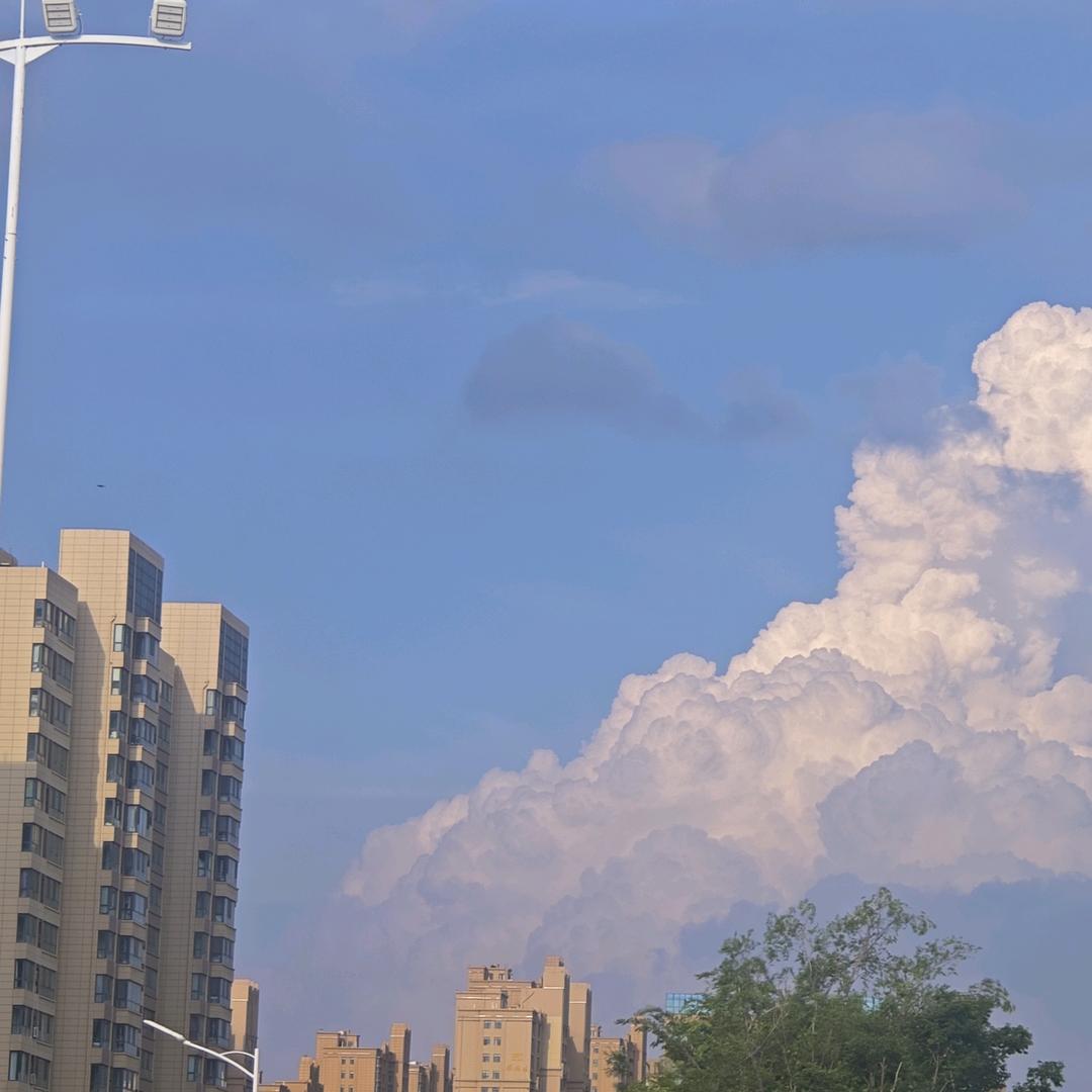 濮阳盟聚网络科技有限公司