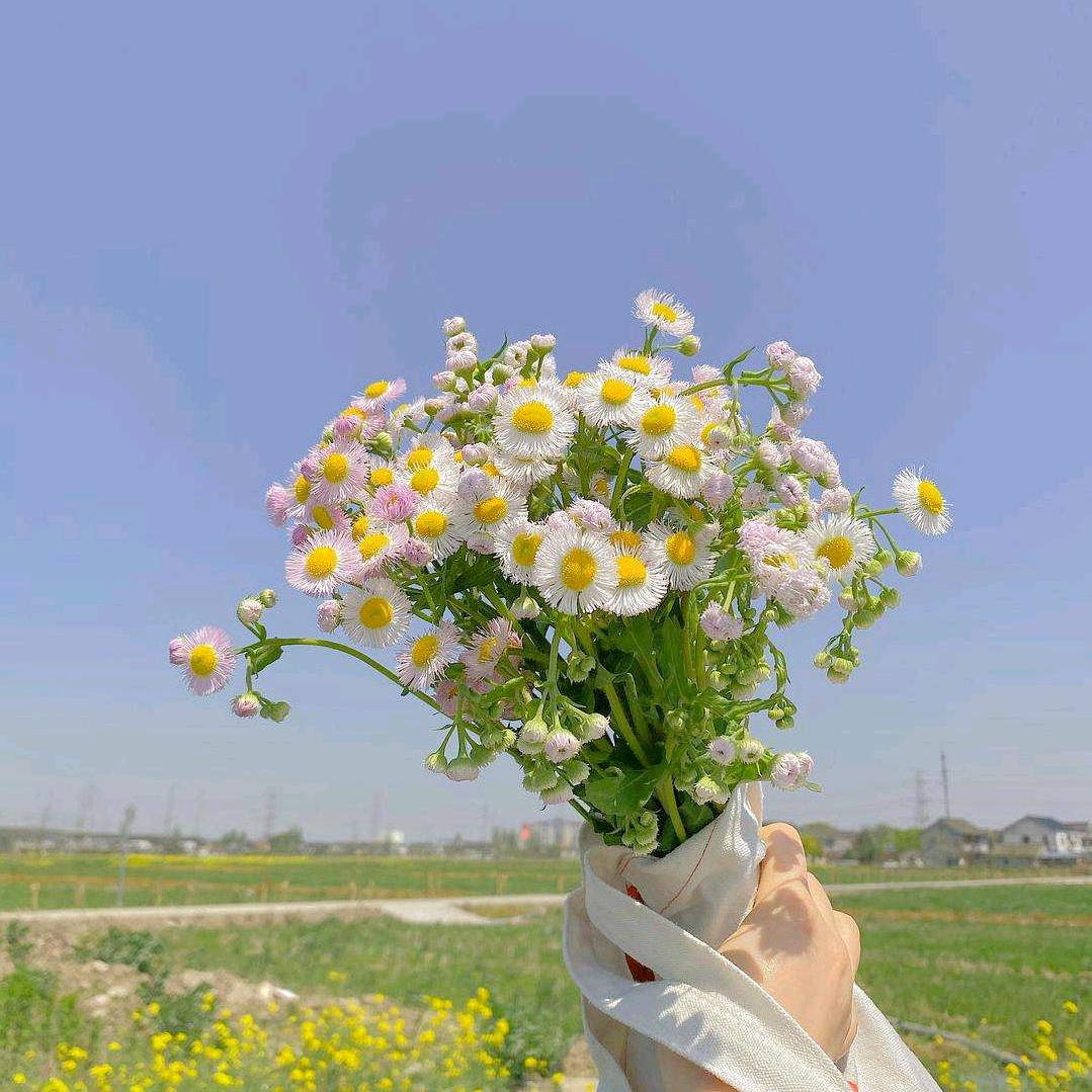 敦化二手房产～孟欣～现金收房