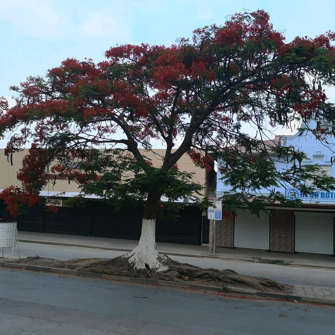 从此眼里没有你