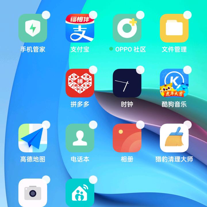 小傻瓜