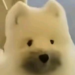 代