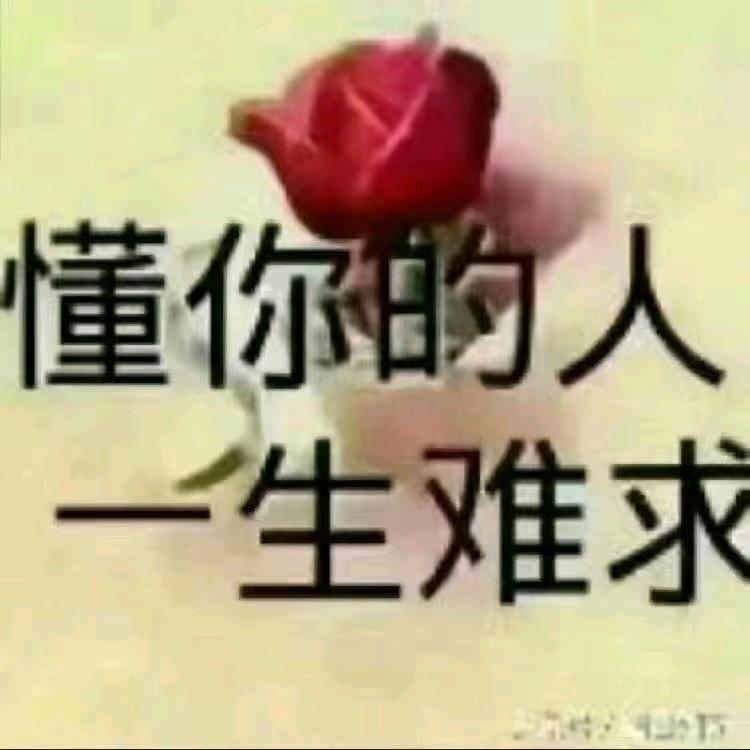 @琴姐