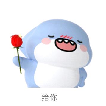 小鲨鱼·