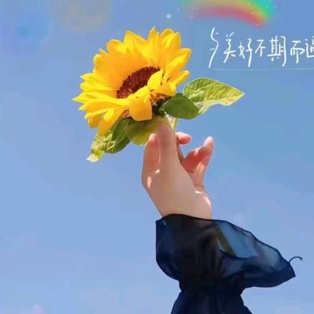 有钱花🌸