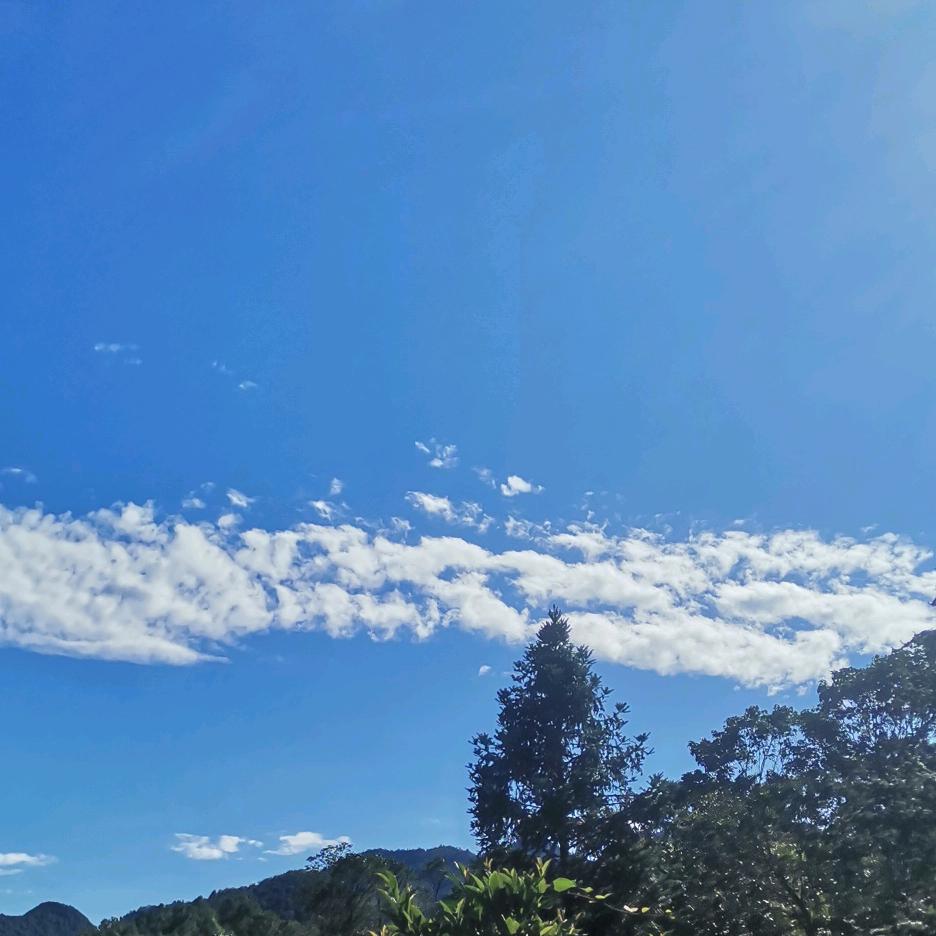 抖音W头像