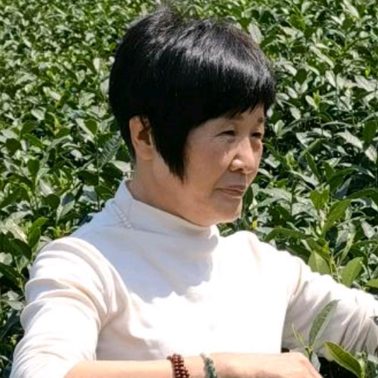 杨小妹